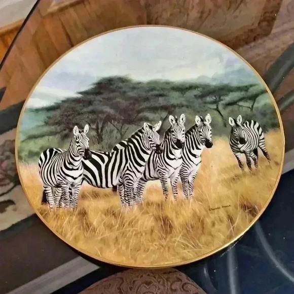 Zebra Undivided attention plate by  Charles France EUC - Picture 1 of 6